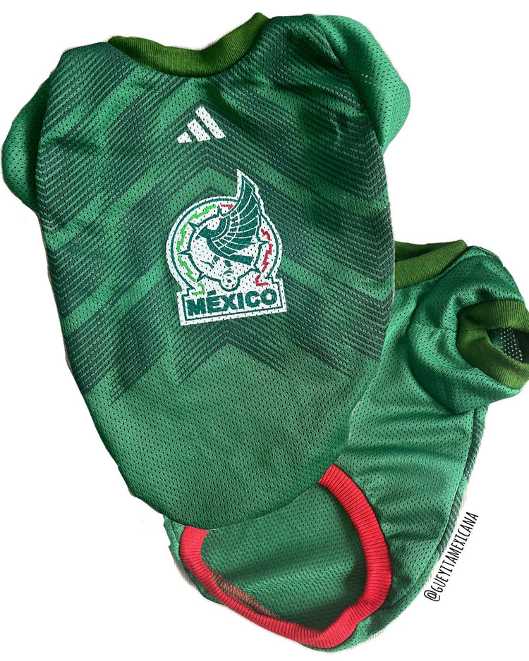 Mexican soccer jerseys - GueyitaMexicana
