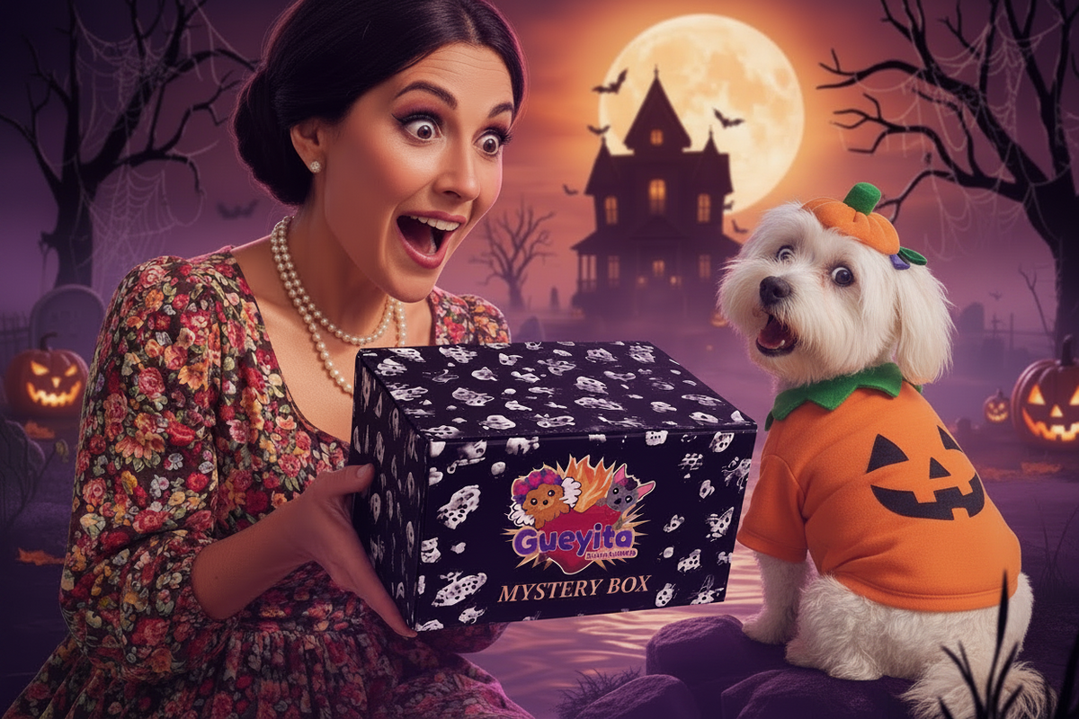 Joy in a mystery Box: Experience a ritual full of Surprise!