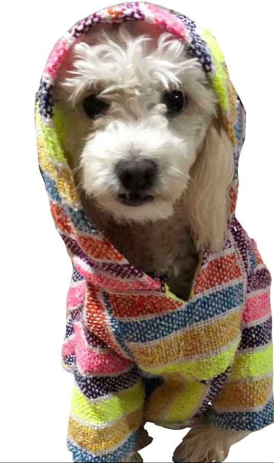 Mexican Dog Hoodie
