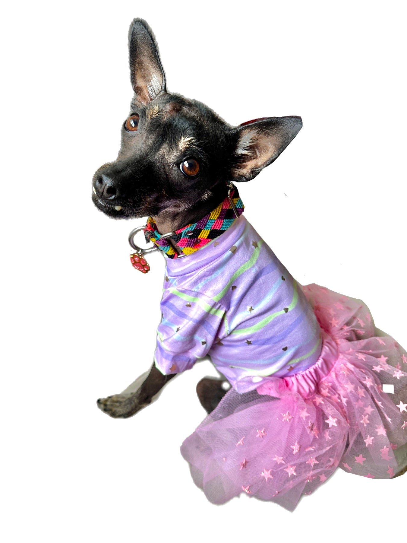 Pink tutu for dogs