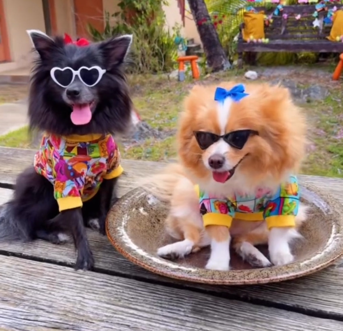 Loteria Mexicana dog Shirts