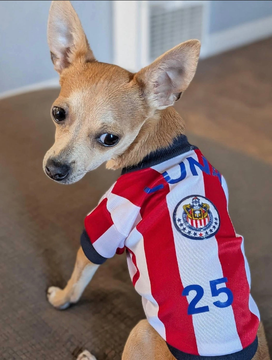 Chivas Team -Soccer dog Jersey