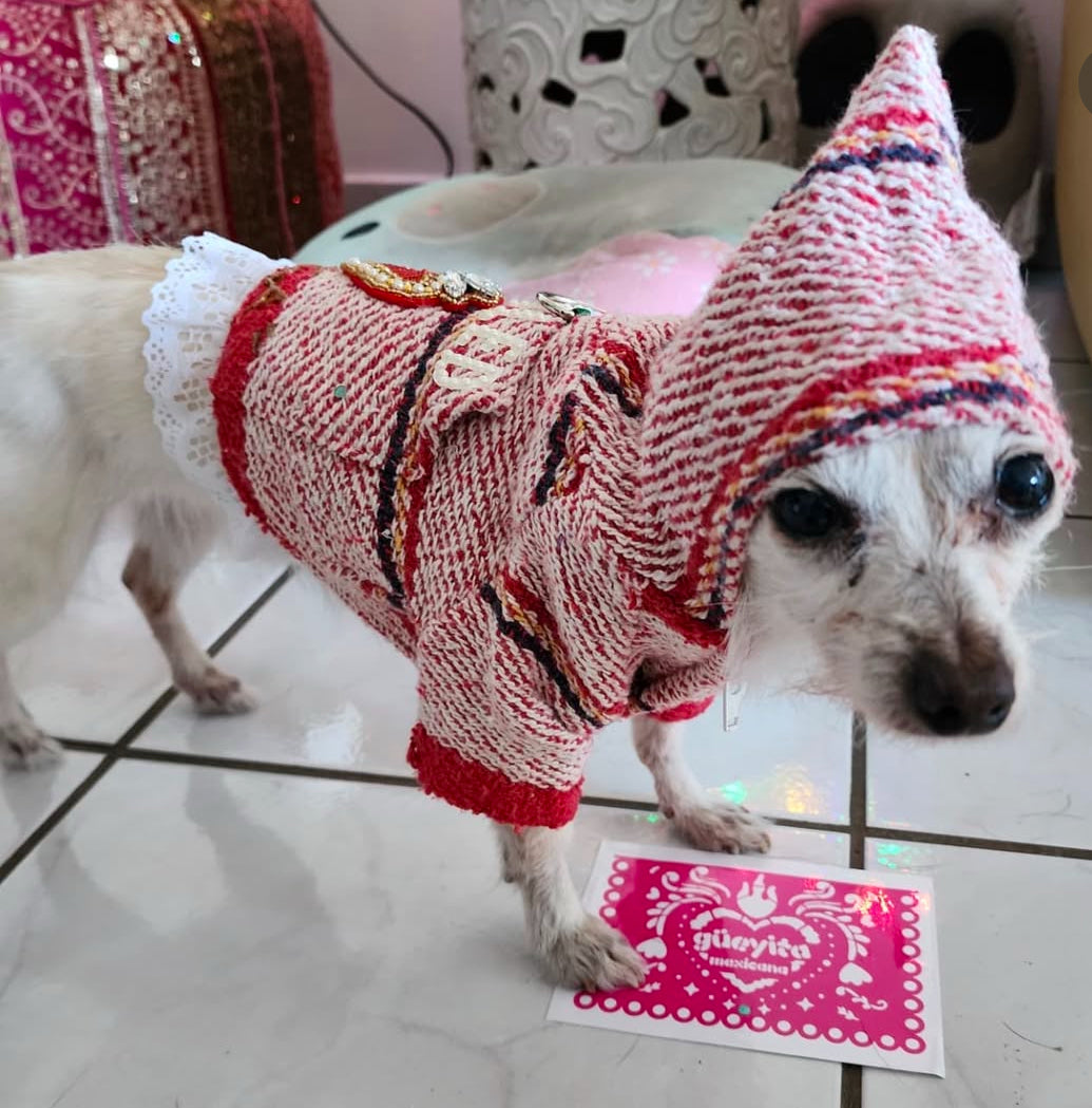 Street style Dog Hoodie