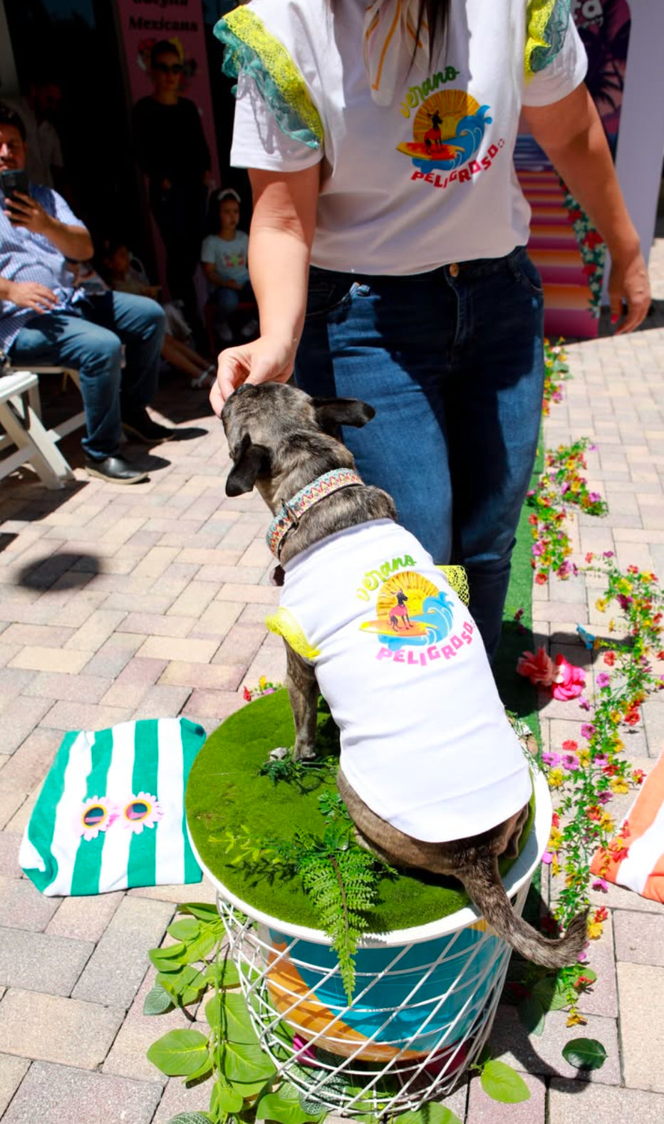 Summer dog tee
