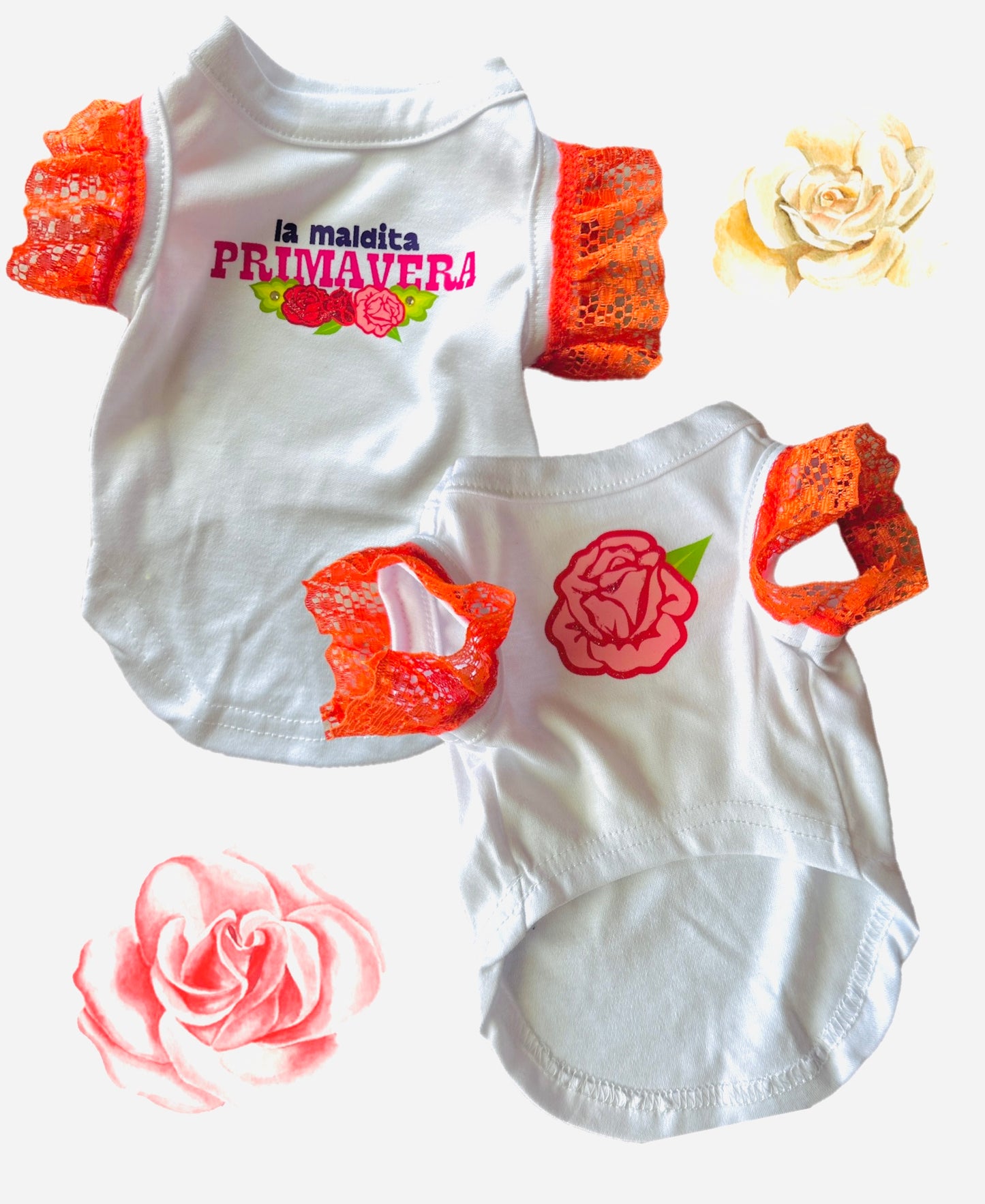 Spring dog tee