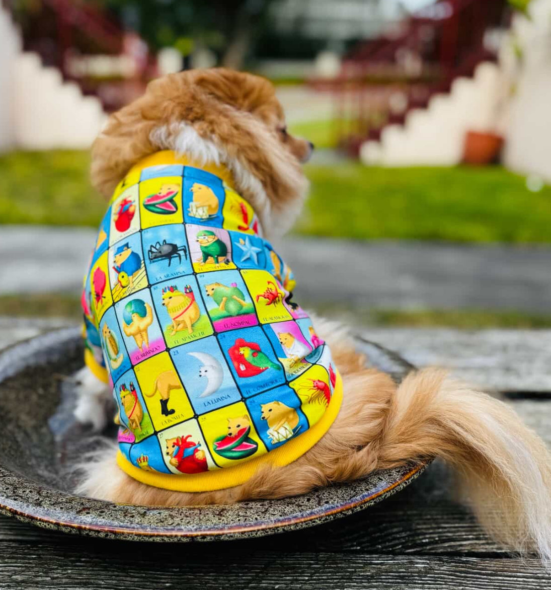 Loteria Mexicana dog Shirts