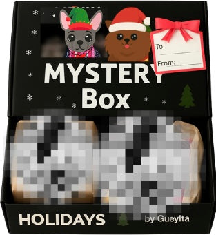 Mystery Dog Box: Holiday Edition!