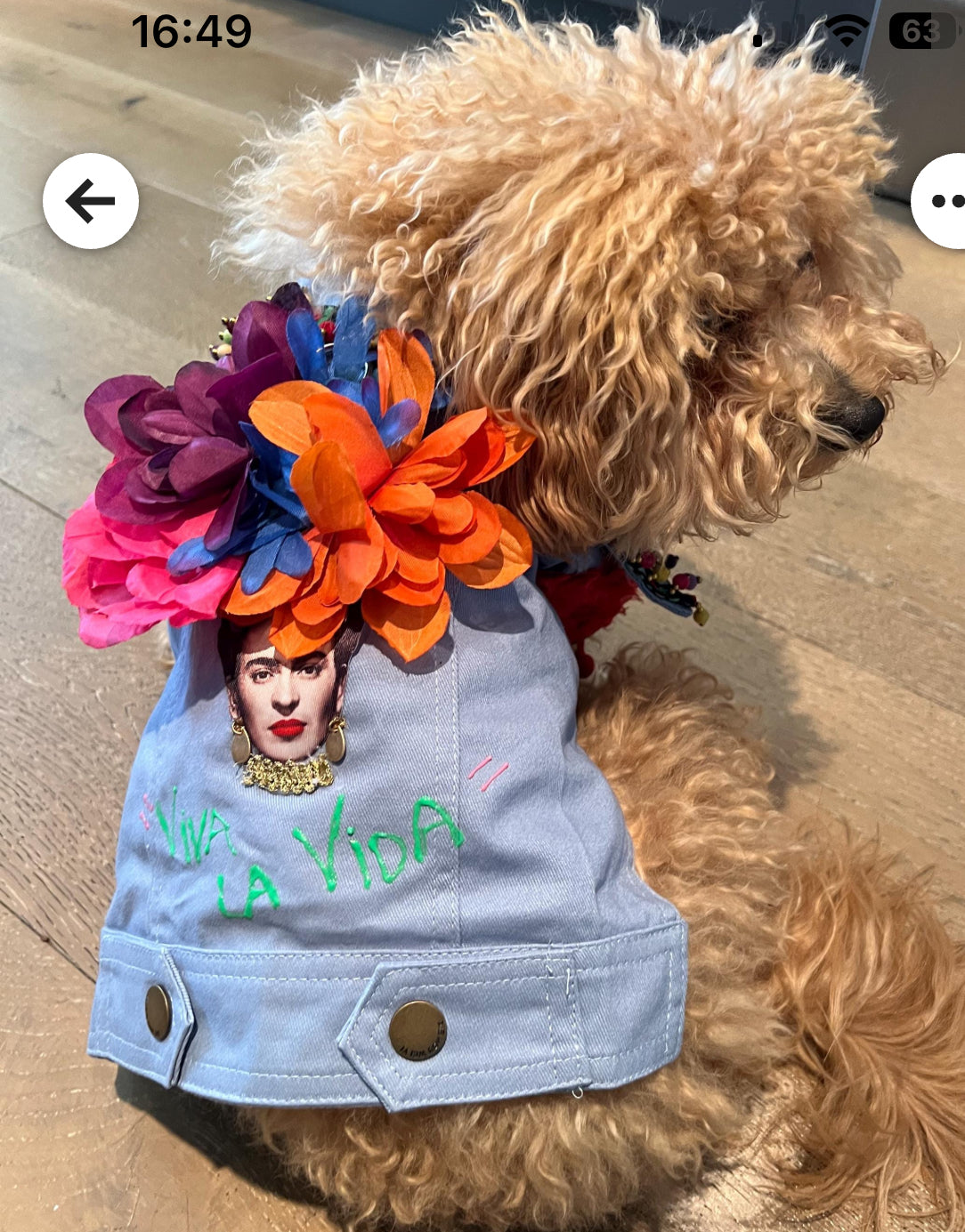 Frida Dog Jacket