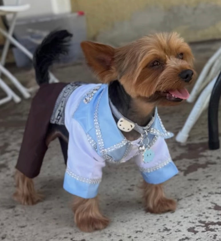 Charming Cowboy Canine: Norteño Dog Outfit!