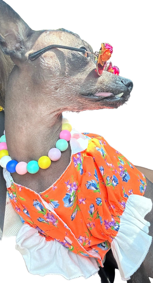 Blooming Spring Dog Blouses: Handmade Floral Elegance