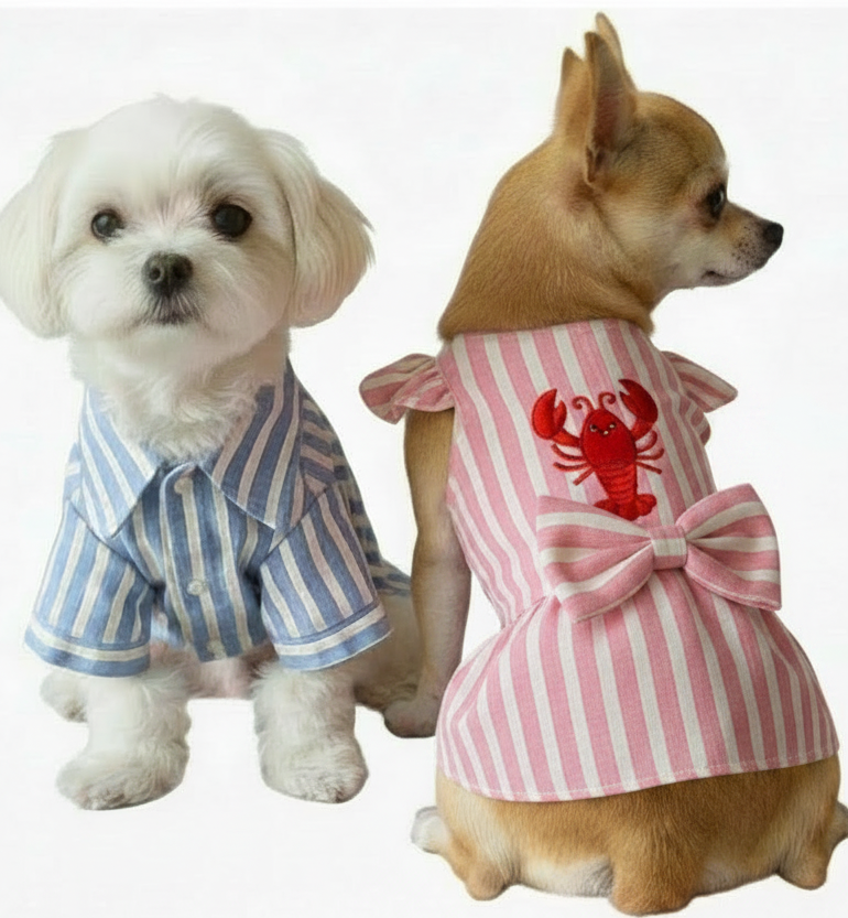 Long weekend shirts and dresses