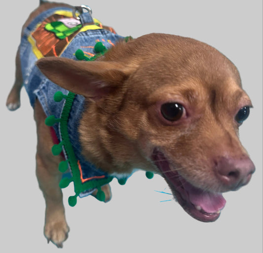 El Chavo del Ocho Dog Vest: A Touch of Nostalgia!