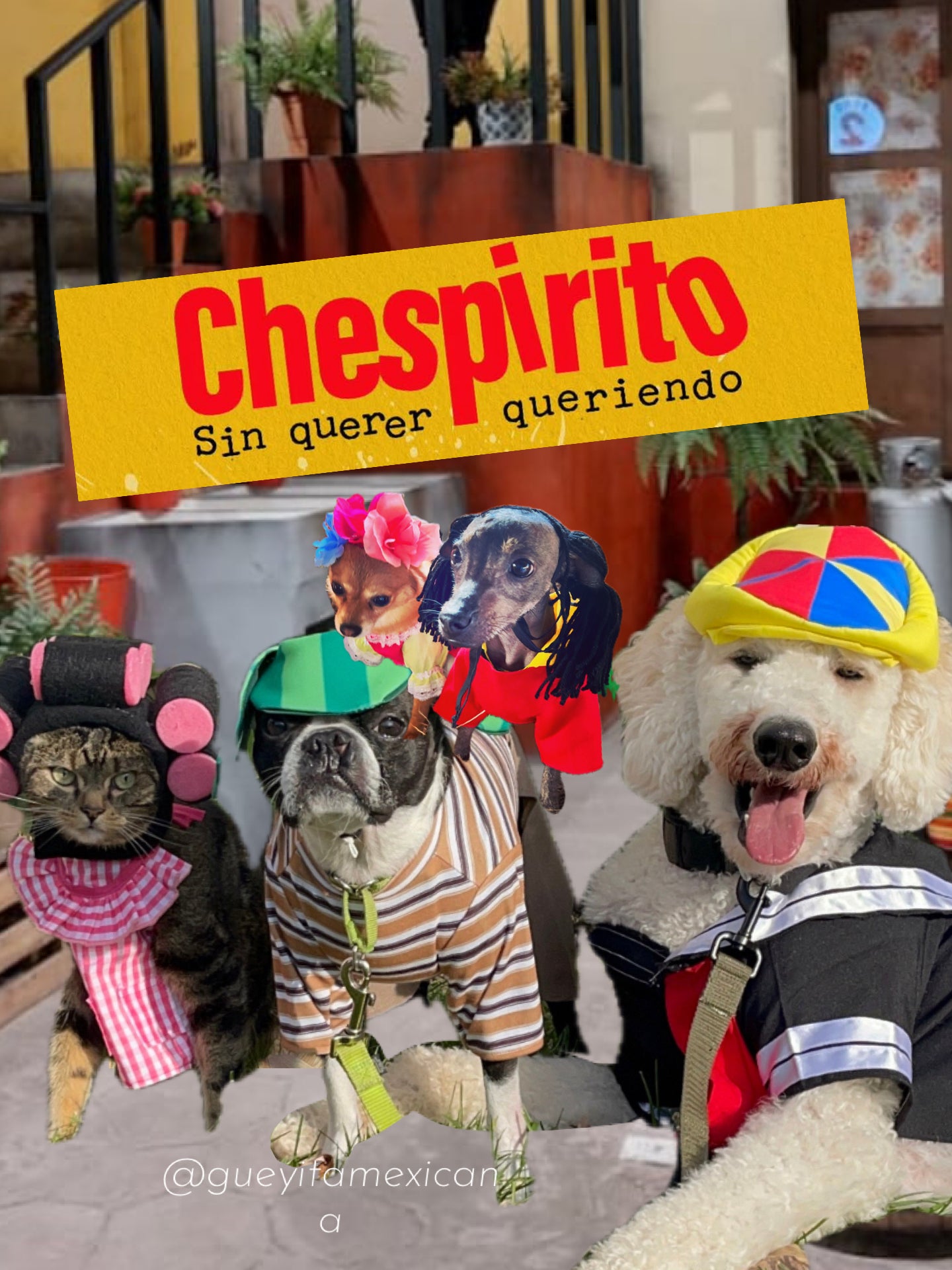 Quico dog costume- El chavo