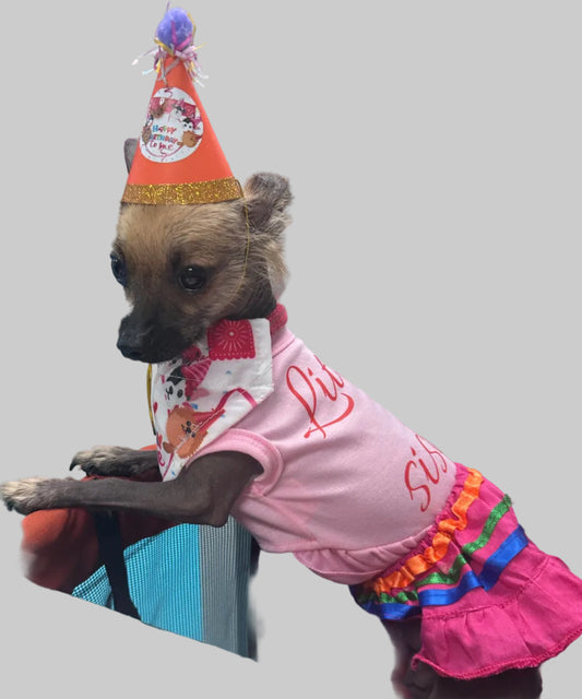 Celebrate in Style: Happy Birthday Dog Bandanas