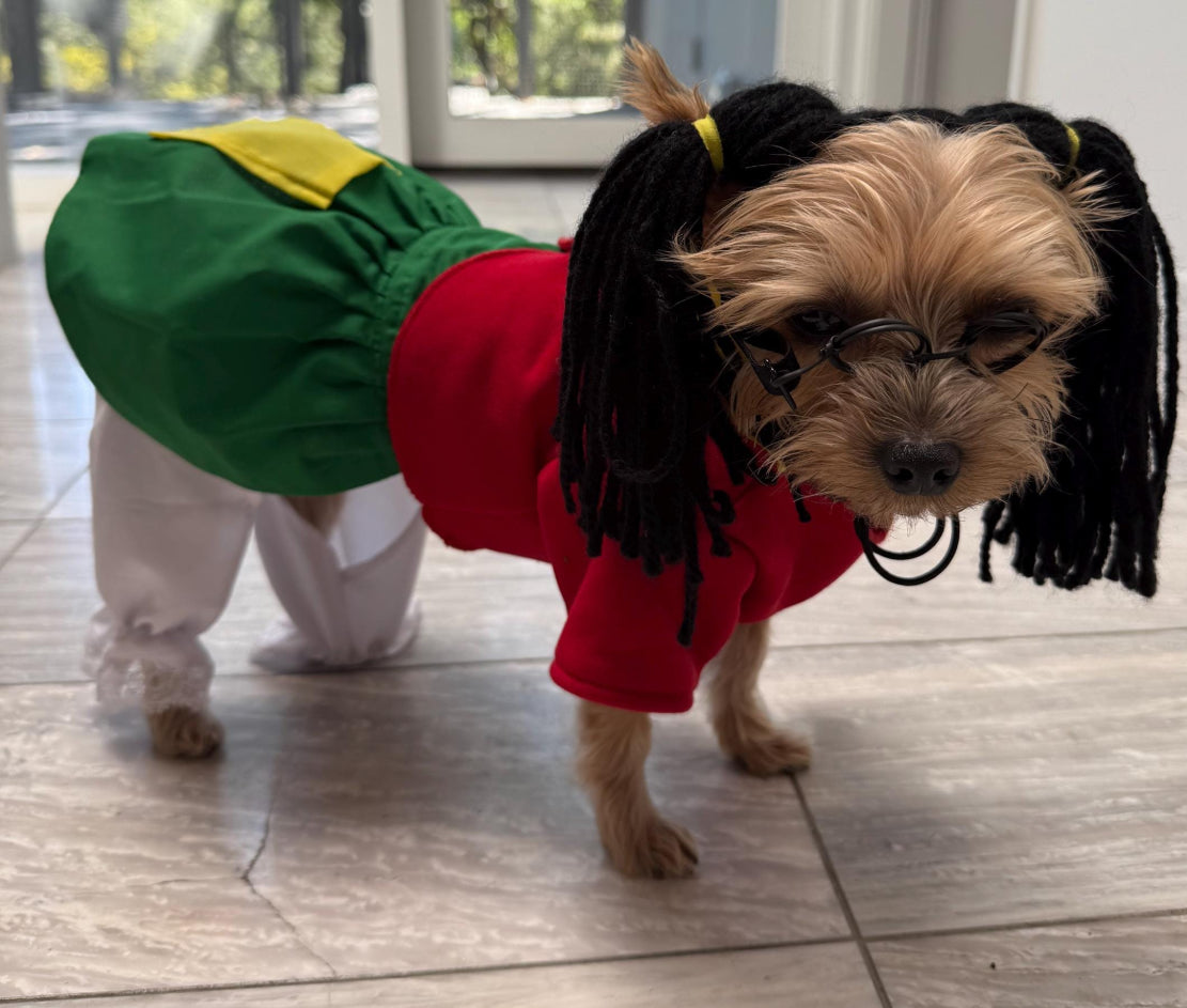 La Chilindrina Dog Costume- Preorder