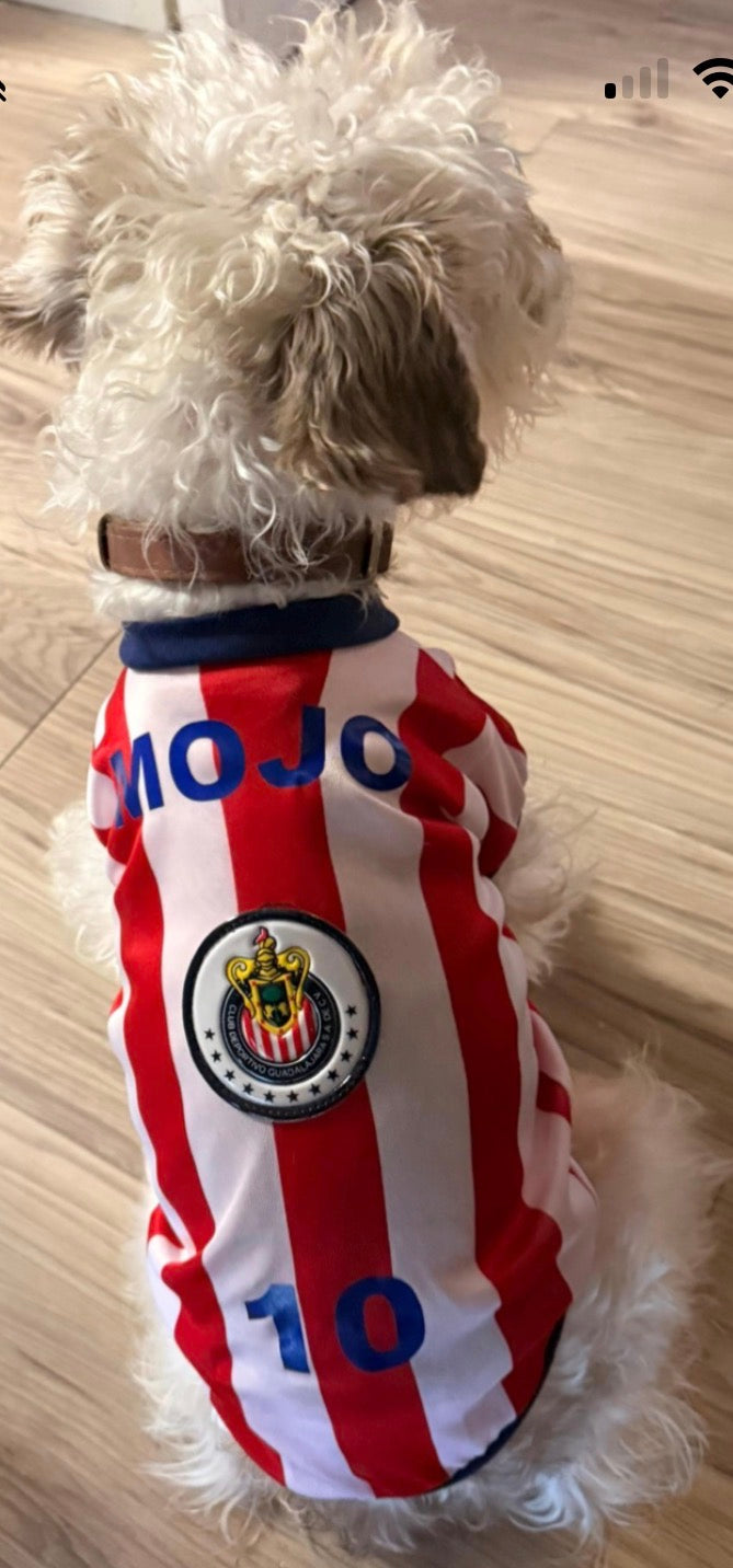 Chivas Team -Soccer dog Jersey