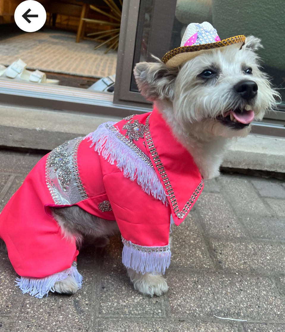 Rodeo outfit for dogs- Barkie dog costume- Cow girl dog costume