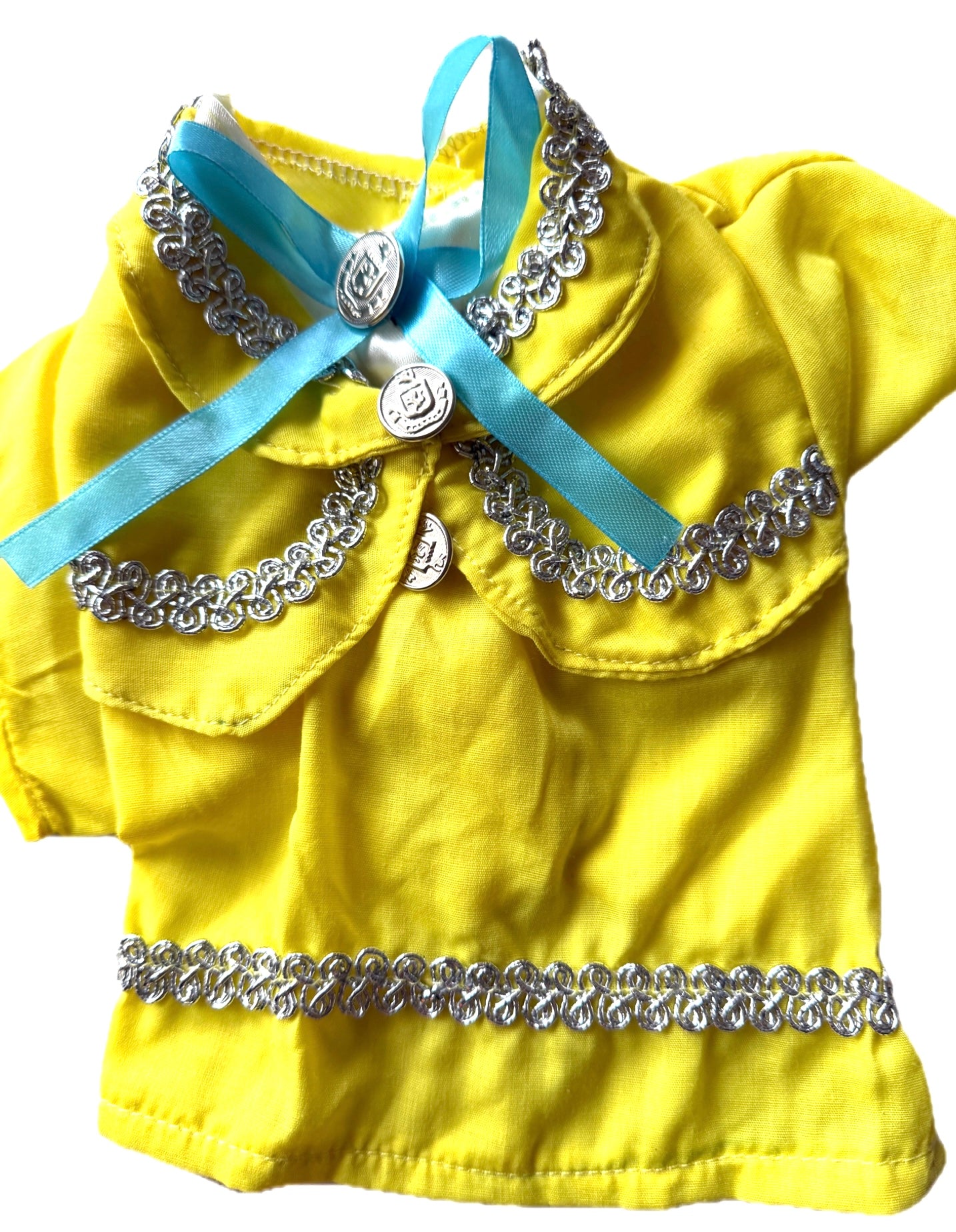 Festive Mariachi Dog Jacket: Unique Outfit for a Mexican Celebration