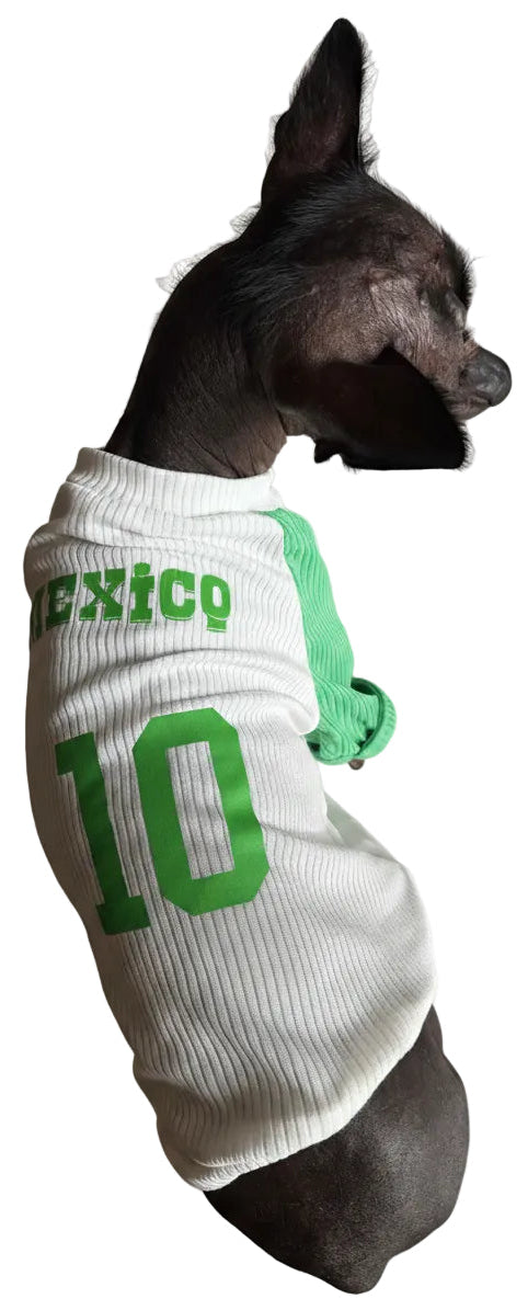 Mexican Dog T-Shirt: Un bolillo para el susto