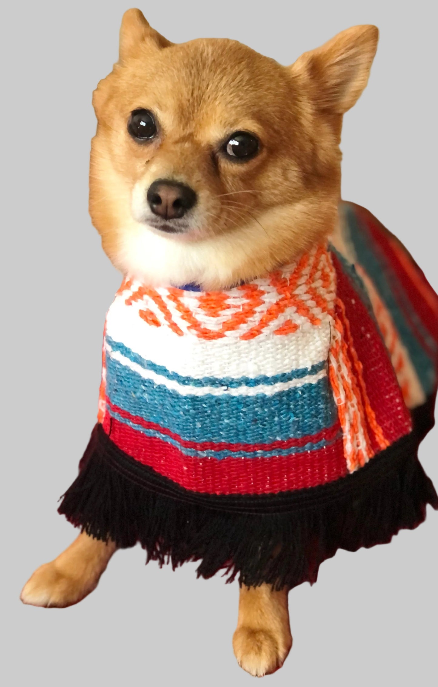 Artisanal Mexican Dog Cape: Cozy Elegance
