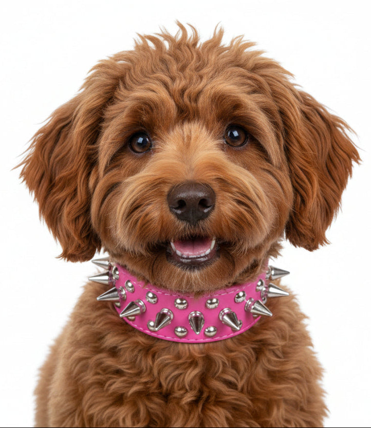 Bold & Brave: Artisan Spiked Dog Collar