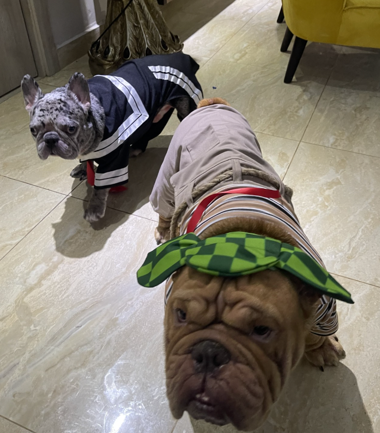 El Chavo del Ocho Dog costume - PRE-ORDER