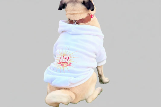 Taco Tuesday Delight: Dog Tees & Sweatshirts!
