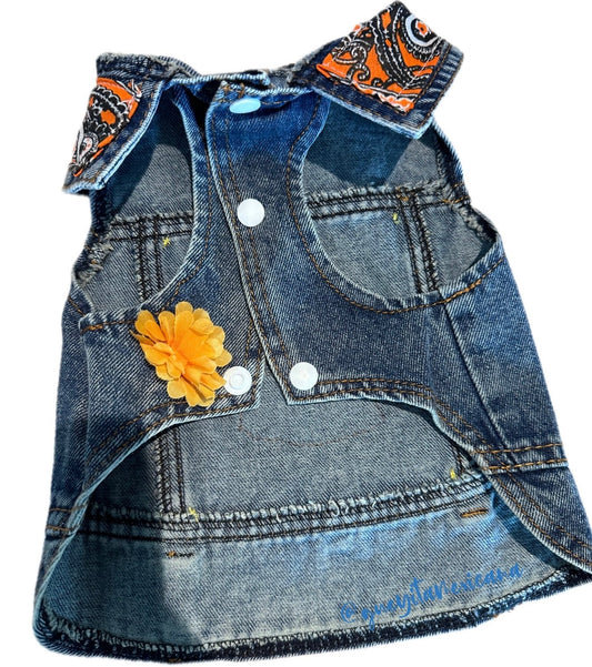 Alebrije dog vest - GueyitaMexicana