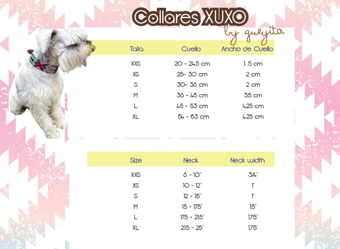 Artisanal dog collar size S - GueyitaMexicana