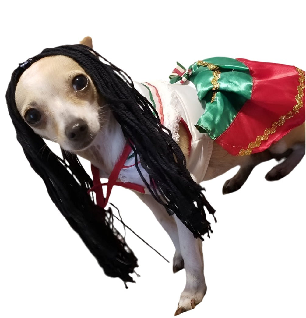 China Poblana Dog girl dress - GueyitaMexicana
