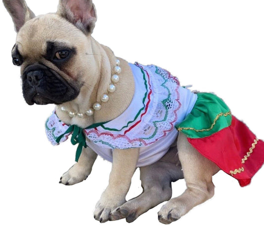 China Poblana Dog girl dress - GueyitaMexicana