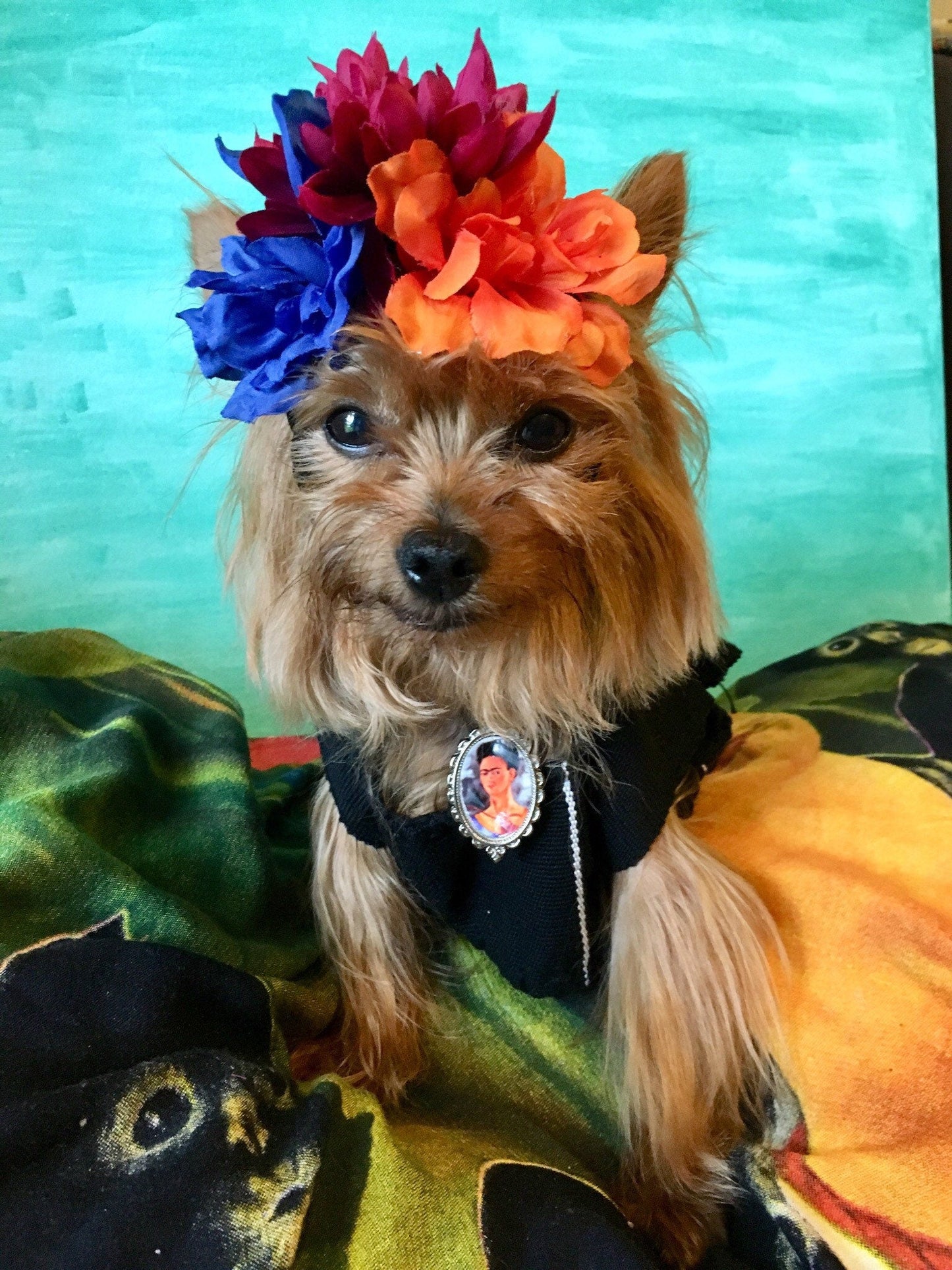 Frida Kahlo inspired dog costume - GueyitaMexicana