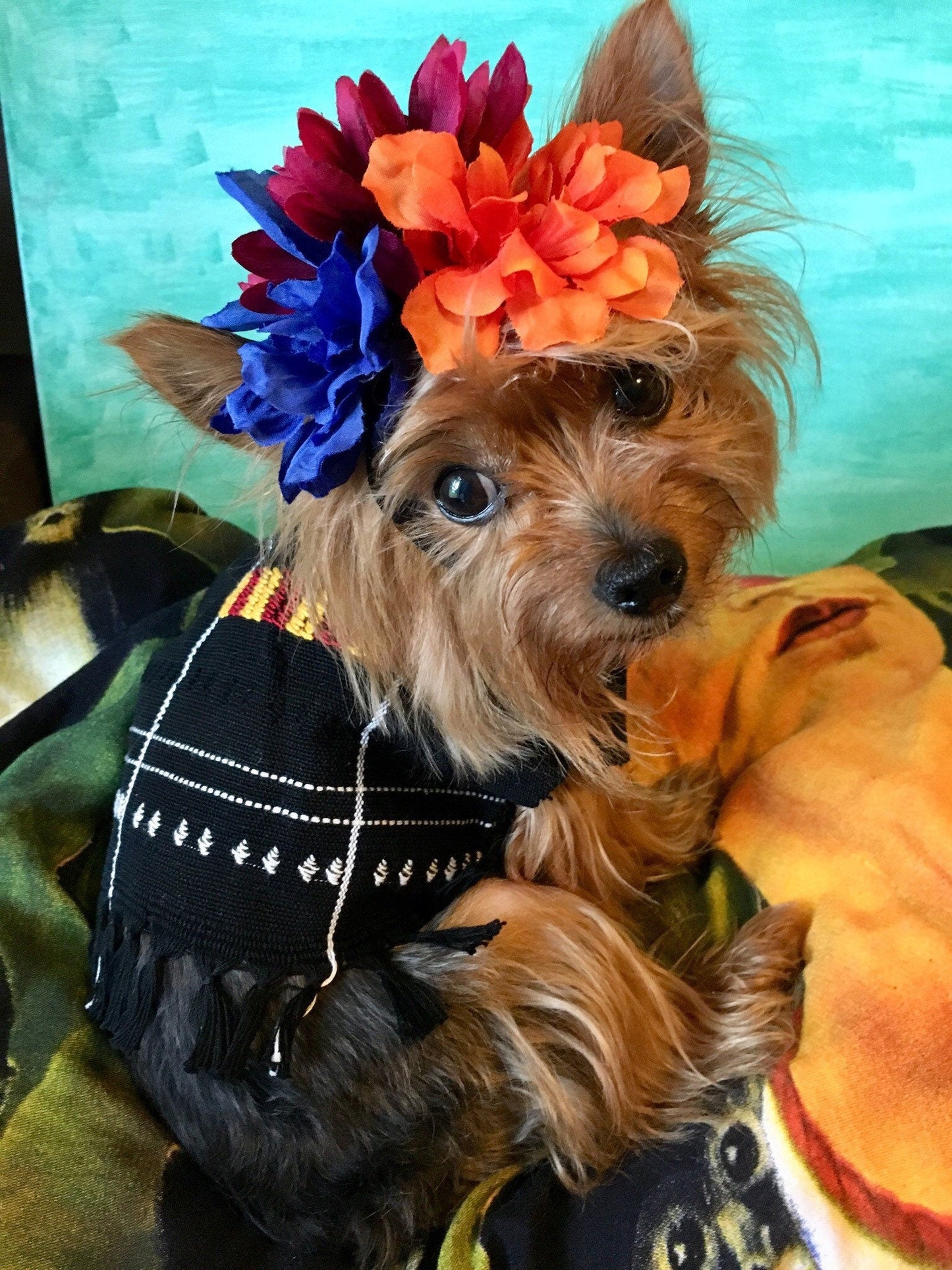 Frida Kahlo inspired dog costume - GueyitaMexicana