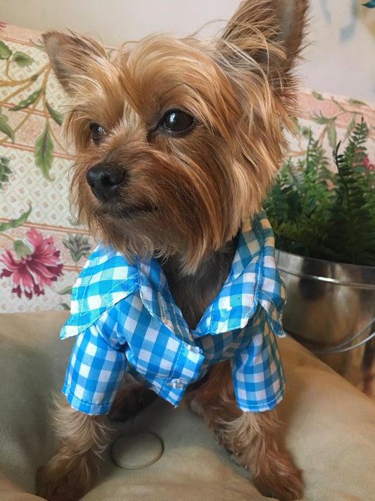 Gingham classic button - down dog shirt - GueyitaMexicana
