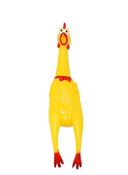 Happy Birthday dog box - GueyitaMexicana