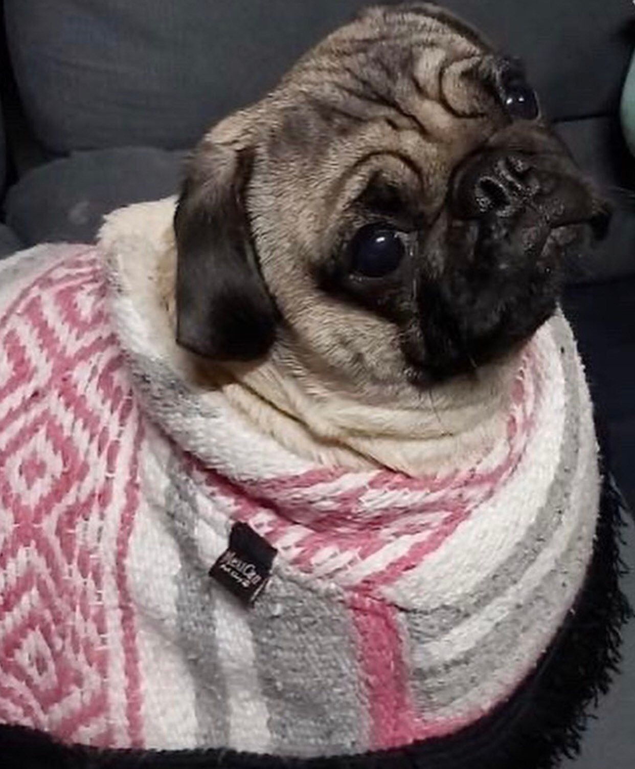 Mexican dog cape/ serape - GueyitaMexicana