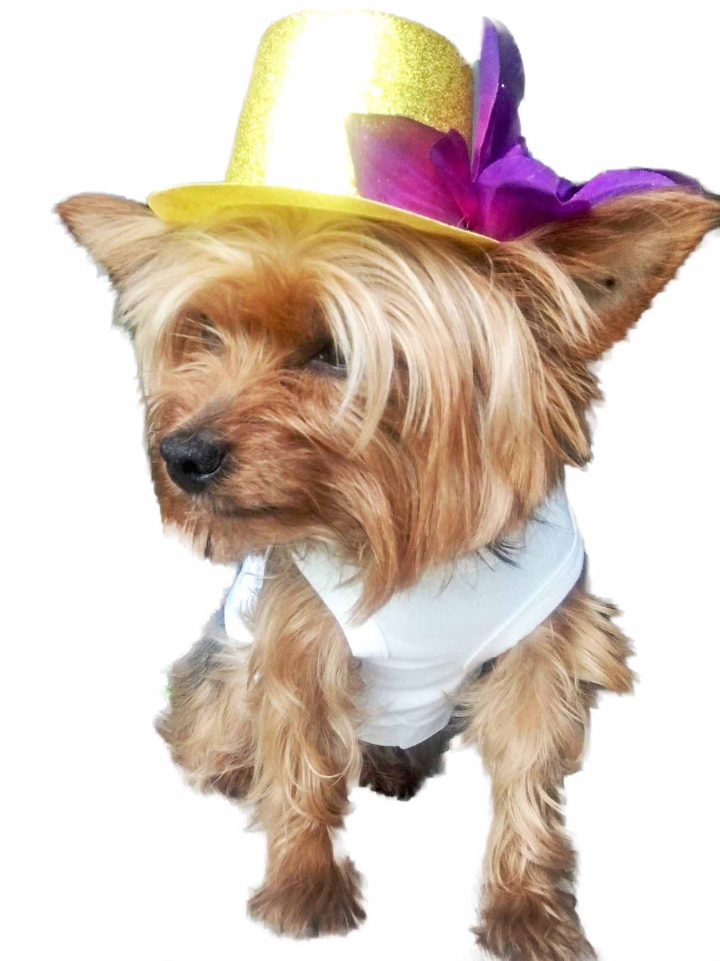 Mexican dog Hats - GueyitaMexicana