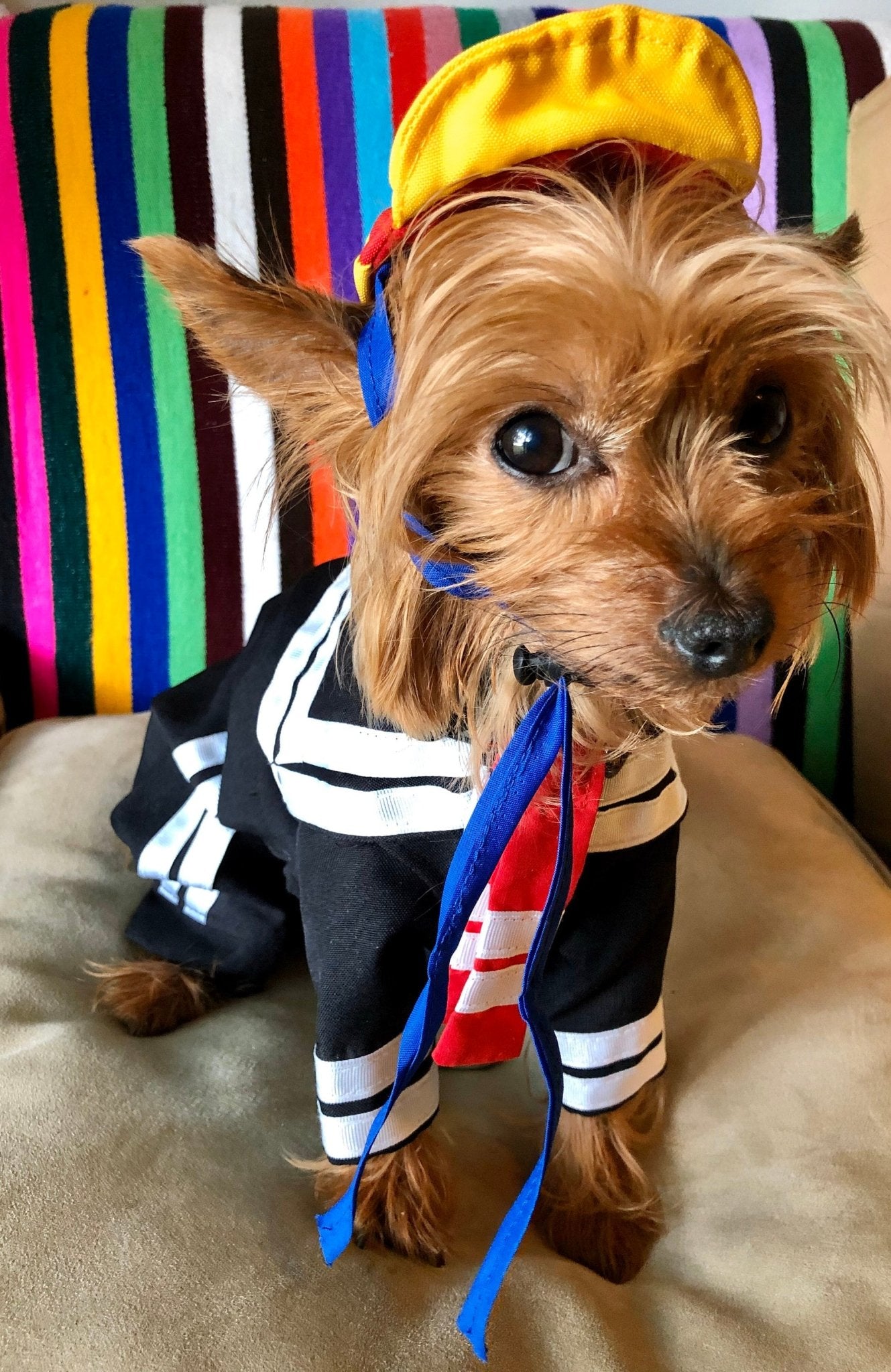 Quico dog costume - El chavo - GueyitaMexicana
