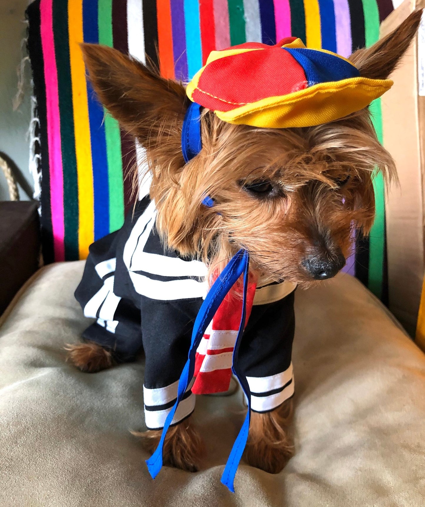 Quico dog costume - El chavo - GueyitaMexicana