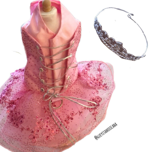 Quinceanera dog girl dress - GueyitaMexicana