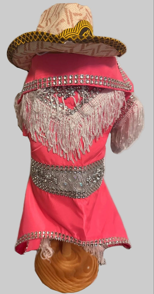 Rodeo outfit for dogs - Barkie dog costume - GueyitaMexicana
