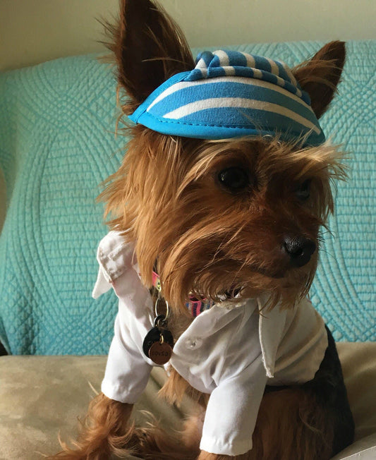 Summer dog hats - GueyitaMexicana