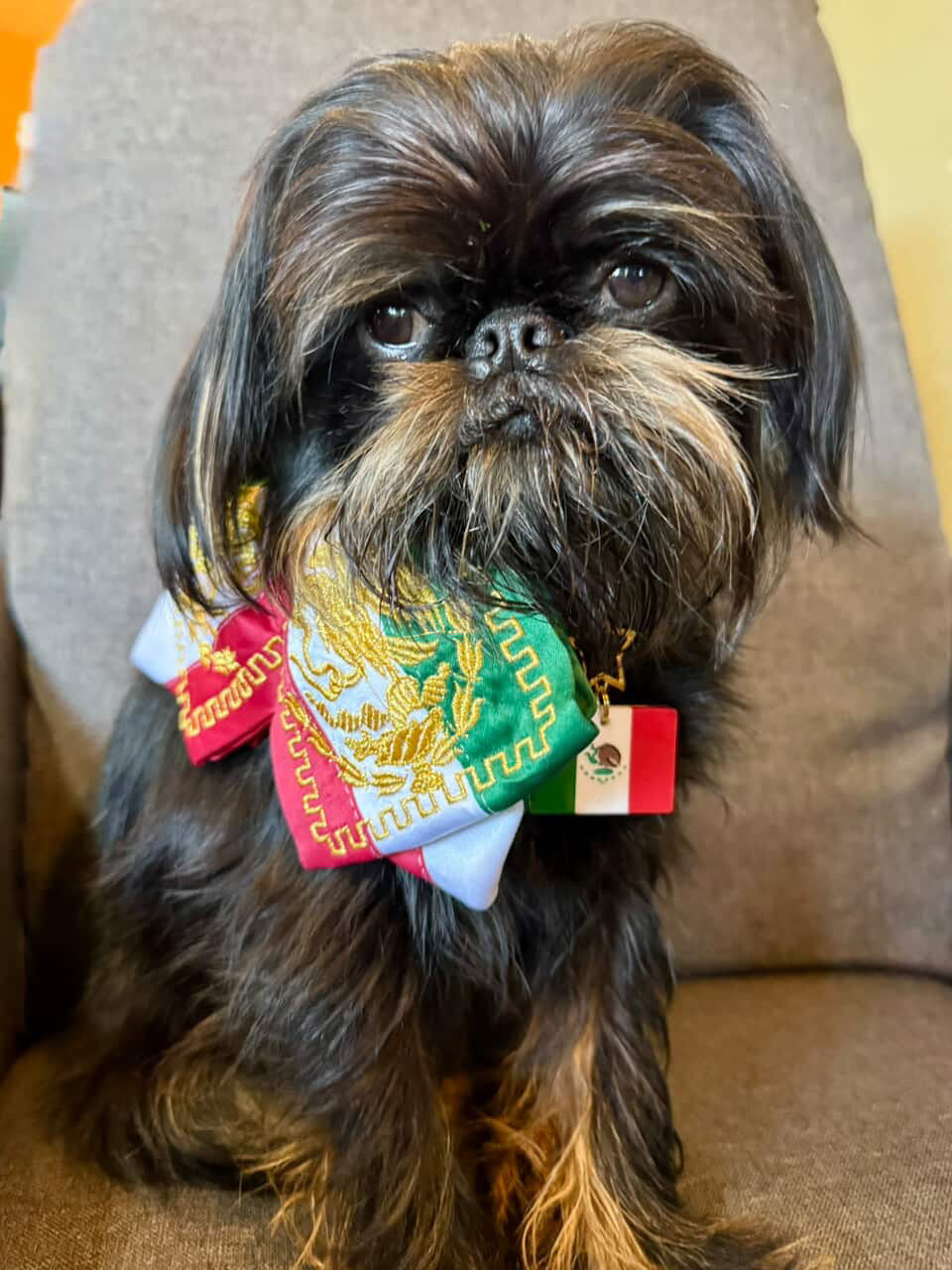 Cinco de Mayo - GueyitaMexicana