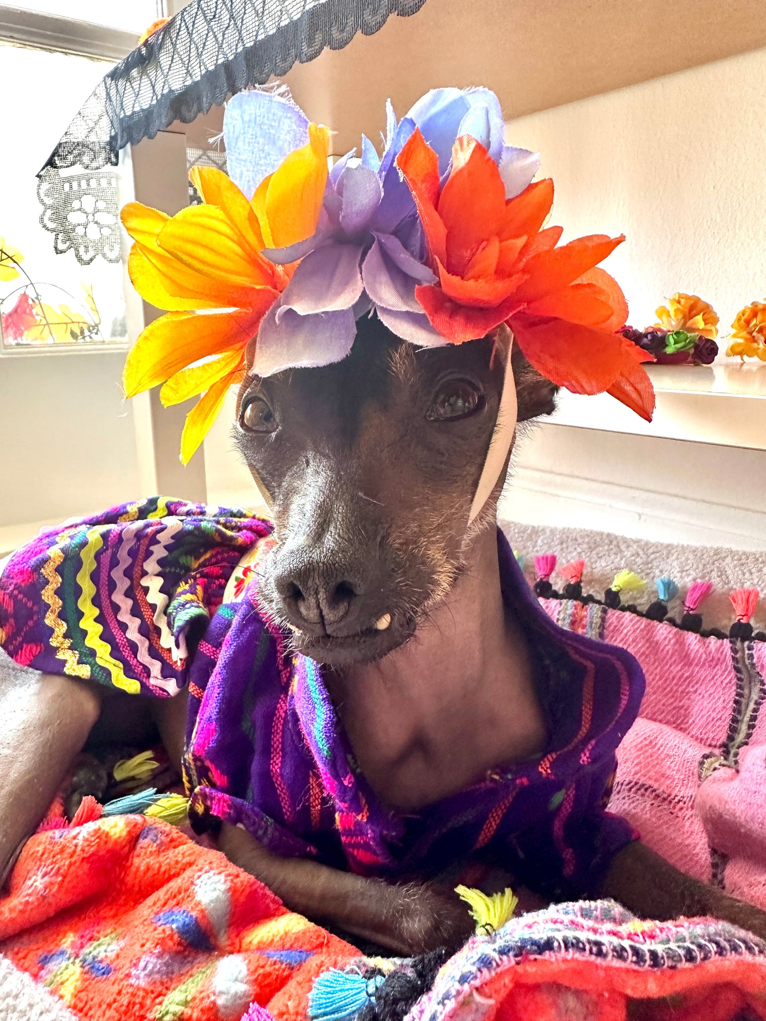 Day of the dead - GueyitaMexicana