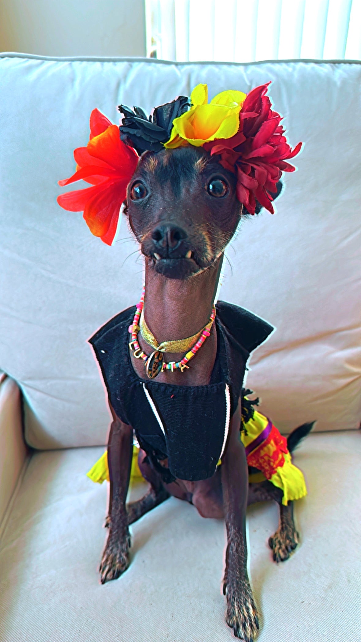 Frida Kahlo - GueyitaMexicana