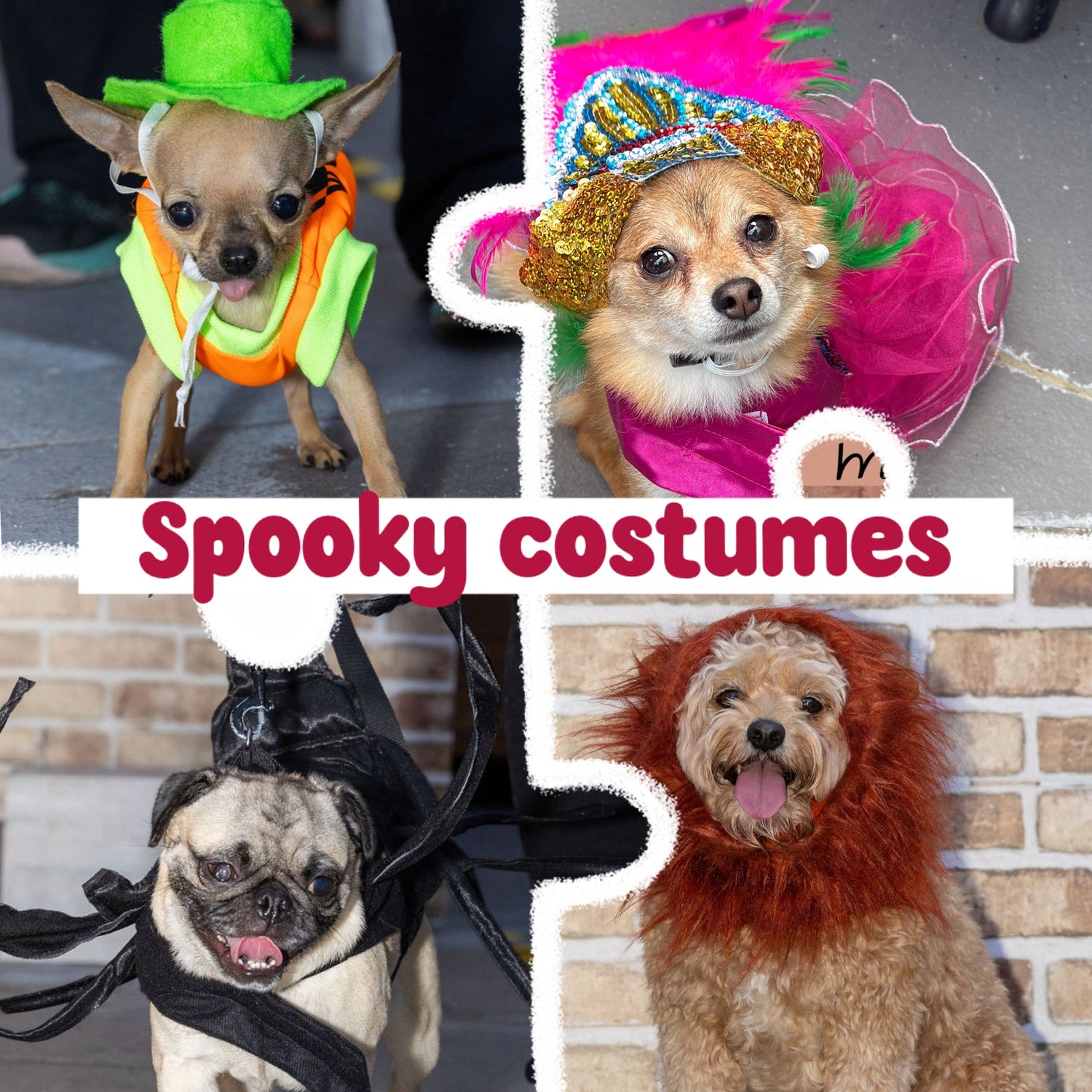 Halloween costumes - GueyitaMexicana
