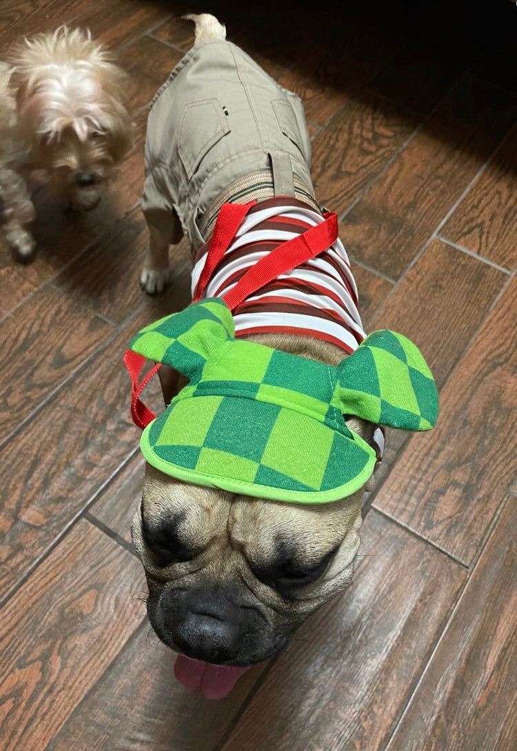 Halloween costumes - GueyitaMexicana