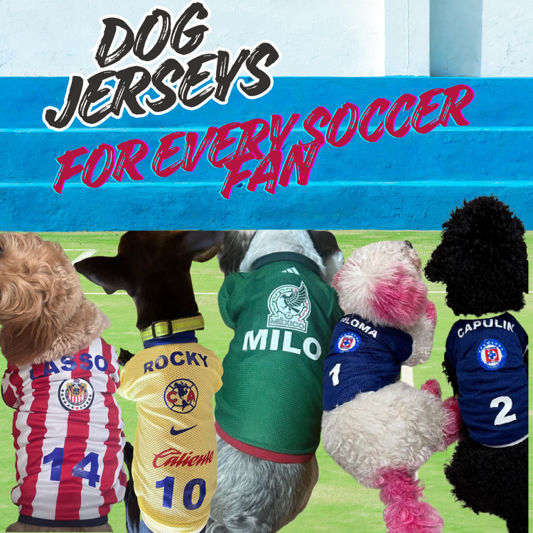 Mexican soccer jerseys - GueyitaMexicana