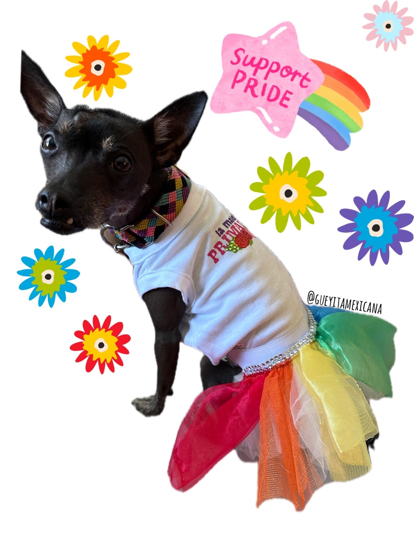 Pride - GueyitaMexicana