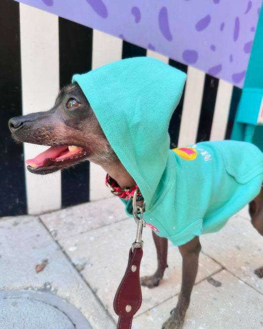 Bark in Style: Miami Beach Dog Sweatshirts for Trendy Tails